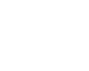 Rakoo casino logo