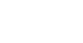 Playzee logo white