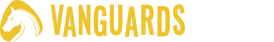 Vanguards Casino Review